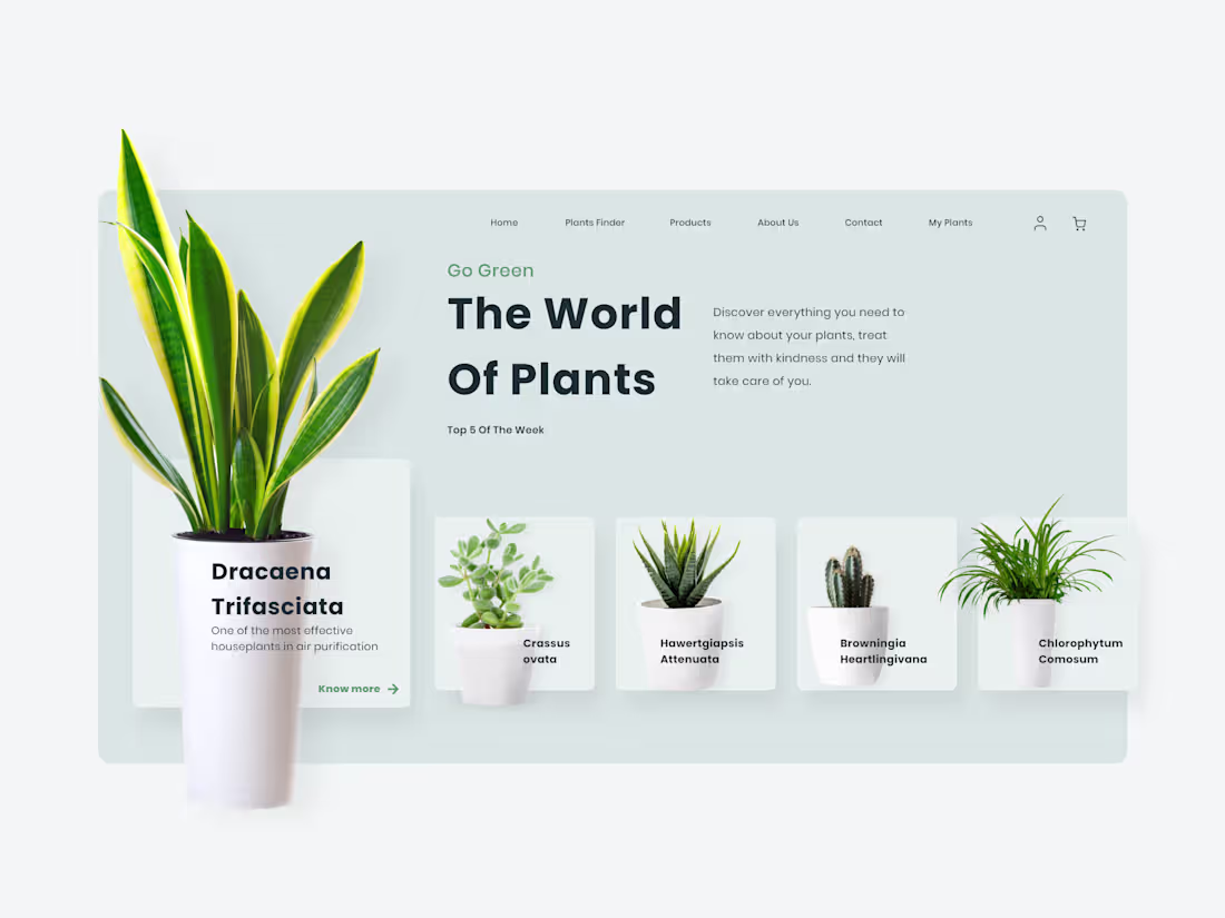 Cover image for Animated App Carousel 