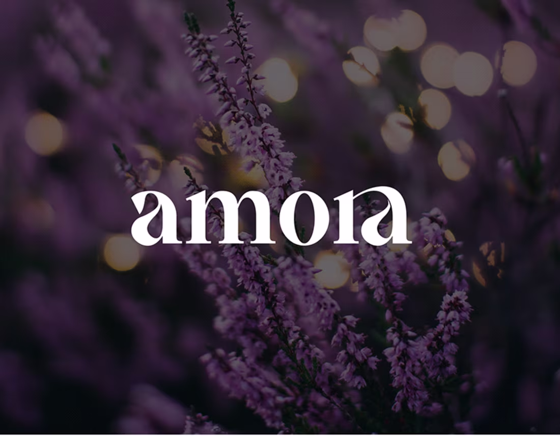 Cover image for amora | Logo Design