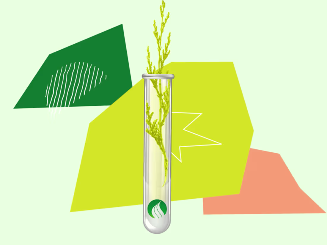 Cover image for Moira - Explainer Video