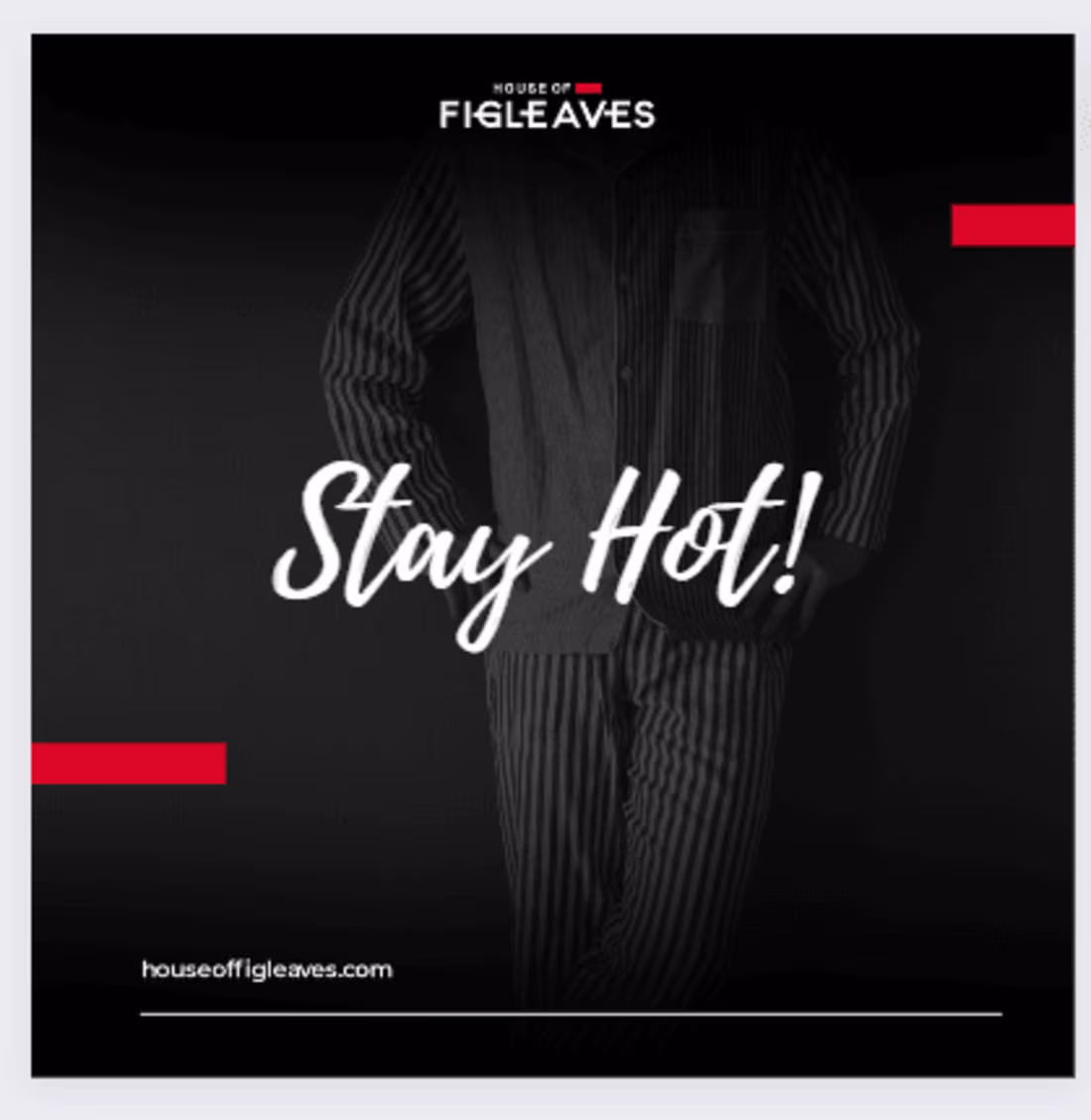 Cover image for SOCIAL MEDIA COPY- THE HOUSE OF FIGLEAVES