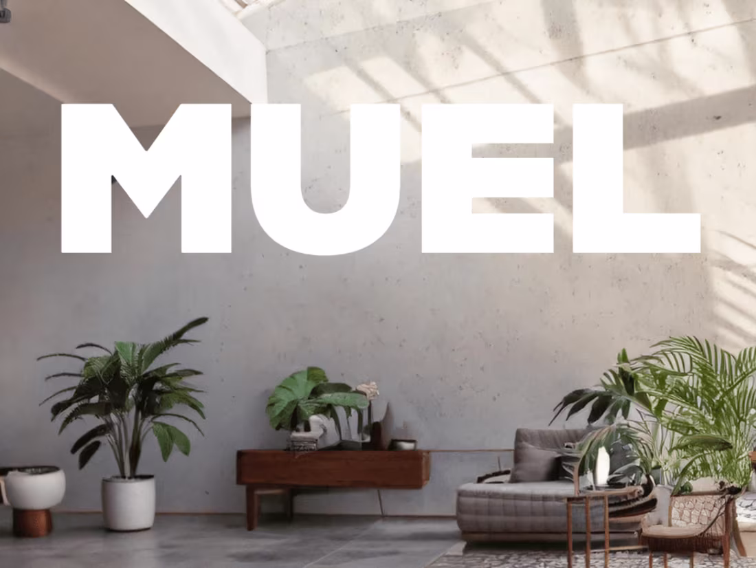 Cover image for UGC paid + organic content