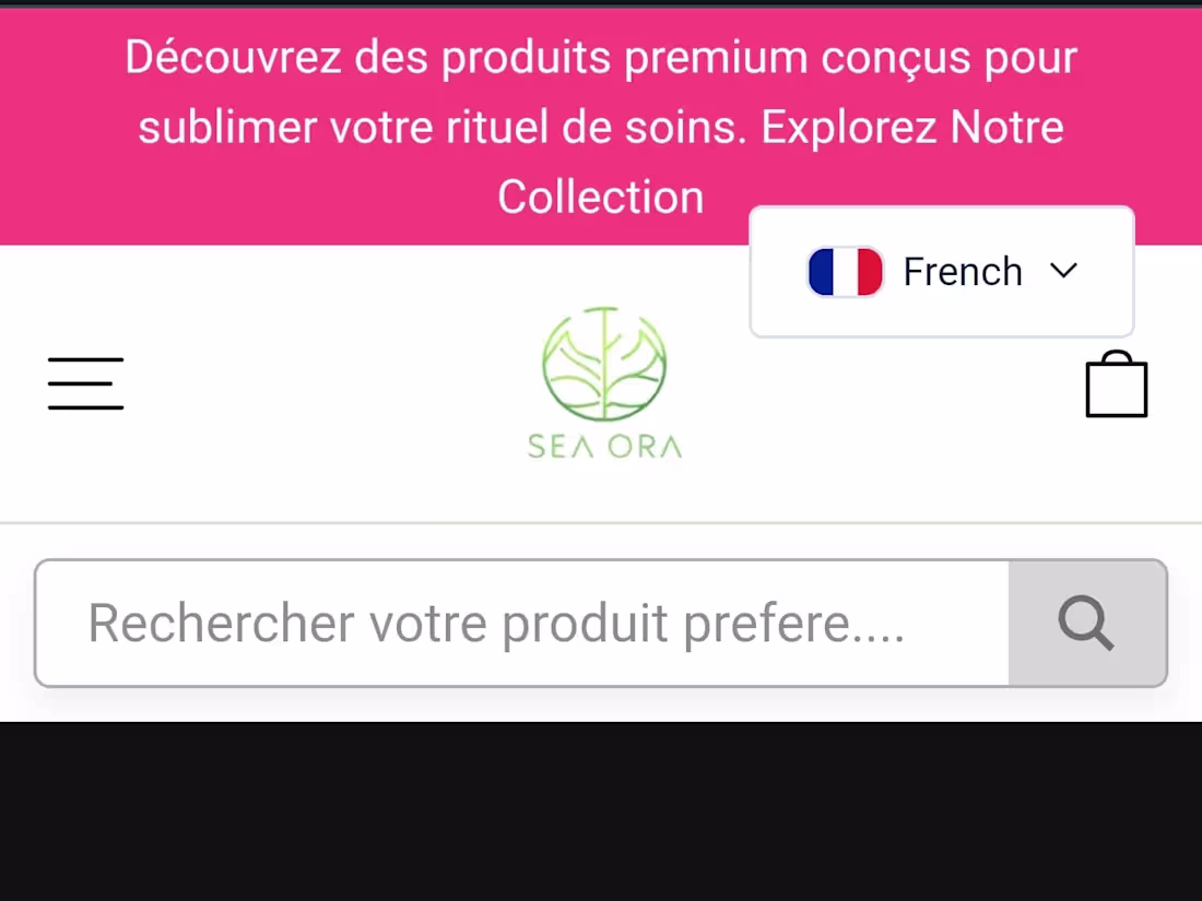 Cover image for Seaora Product Page Development