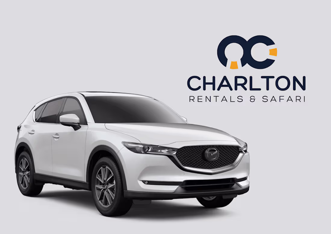 Cover image for Brand Identity Creation for a Rental Company