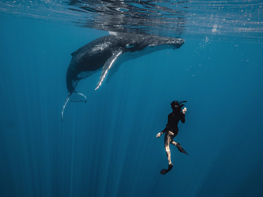 Cover image for Kait <3 on Instagram: “2💿21”