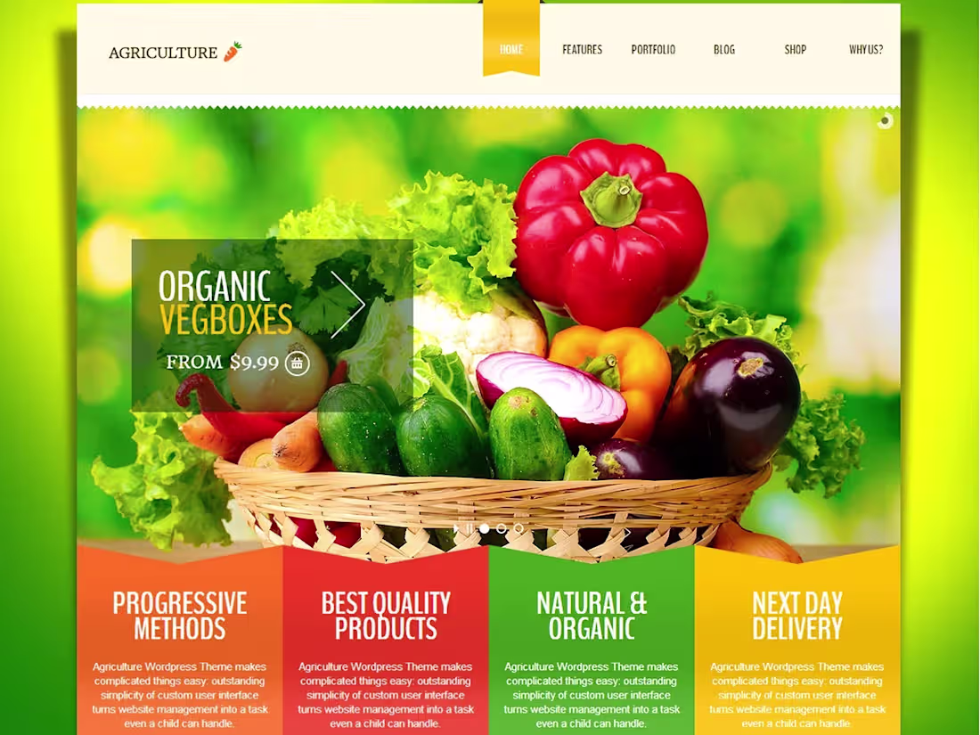 Cover image for Webflow Website for Web design agency