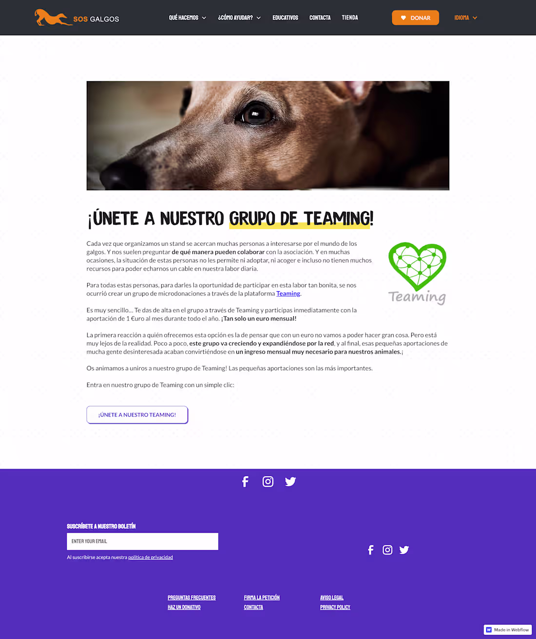 Cover image for SOS Galgos Website