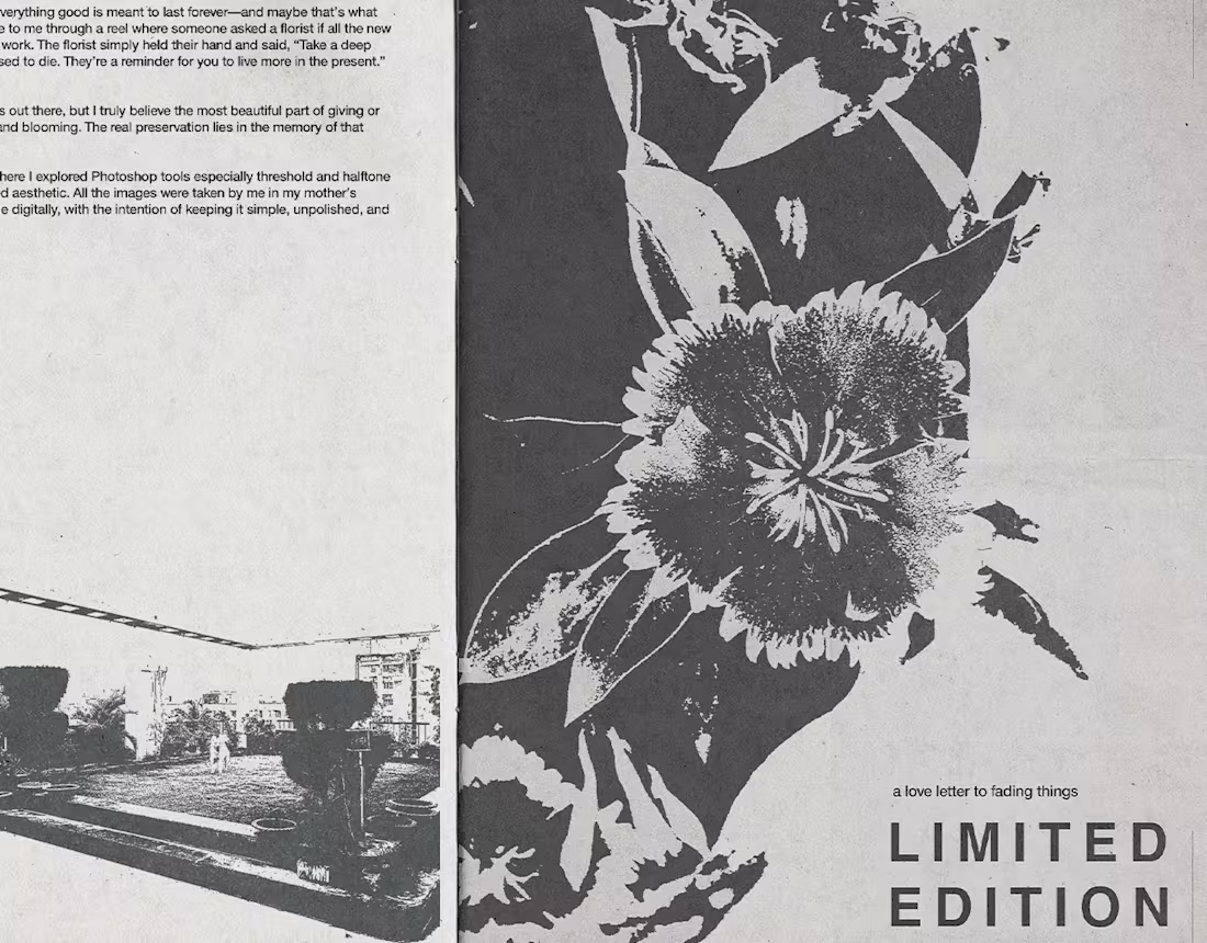 Cover image for Limited Edition : A zine