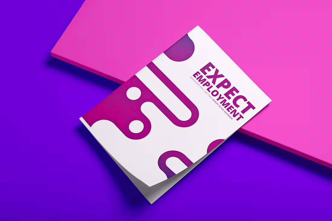Cover image for Expect Employment Report