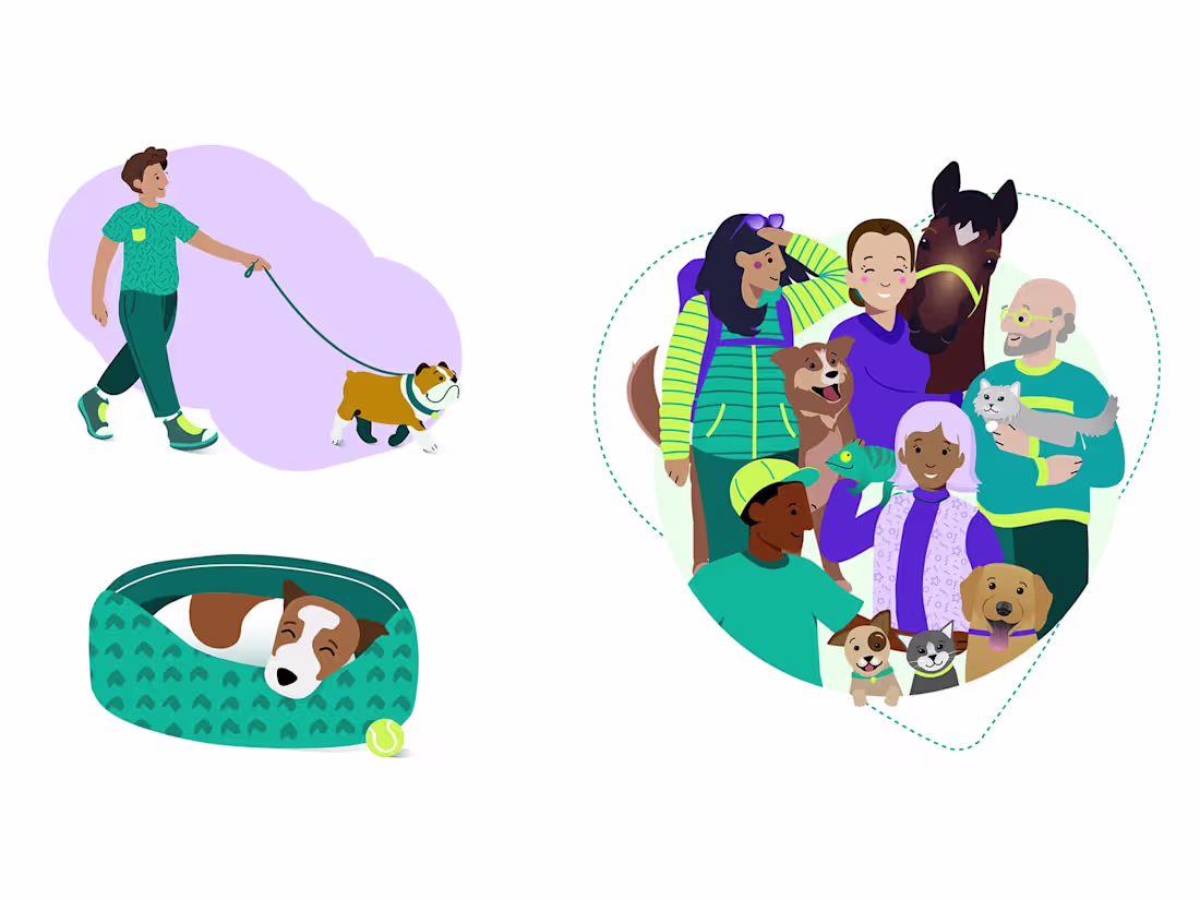 Cover image for TrustedHousesitters - Vector Illustrations