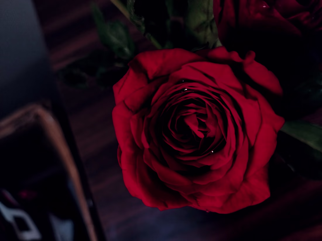 Cover image for Software Engineer 