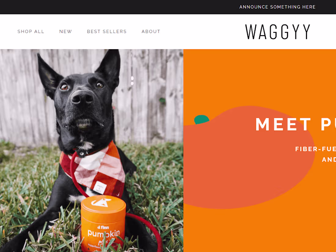Cover image for Shopify store for waggy