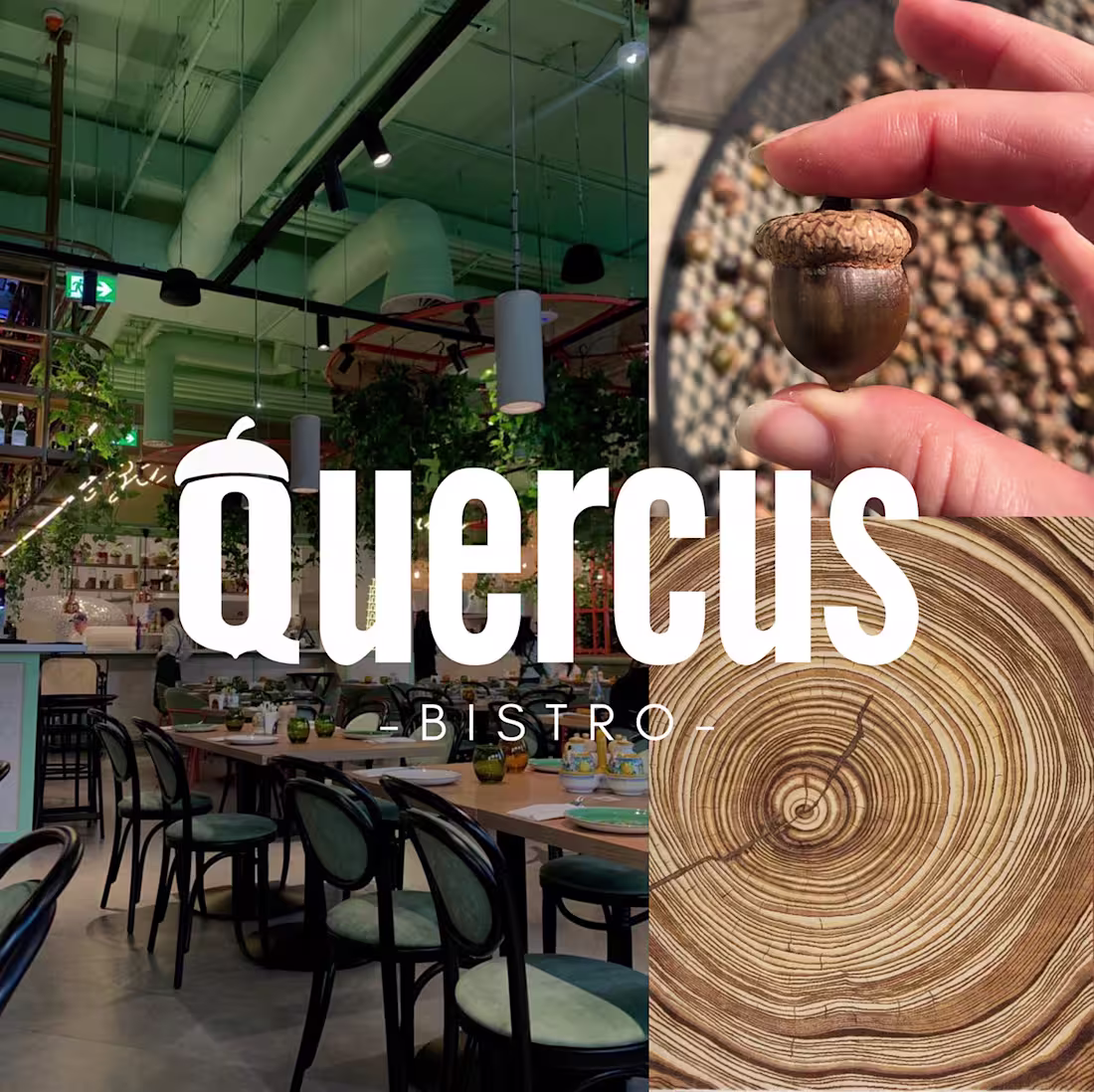 Cover image for Quercus Bistro on Behance