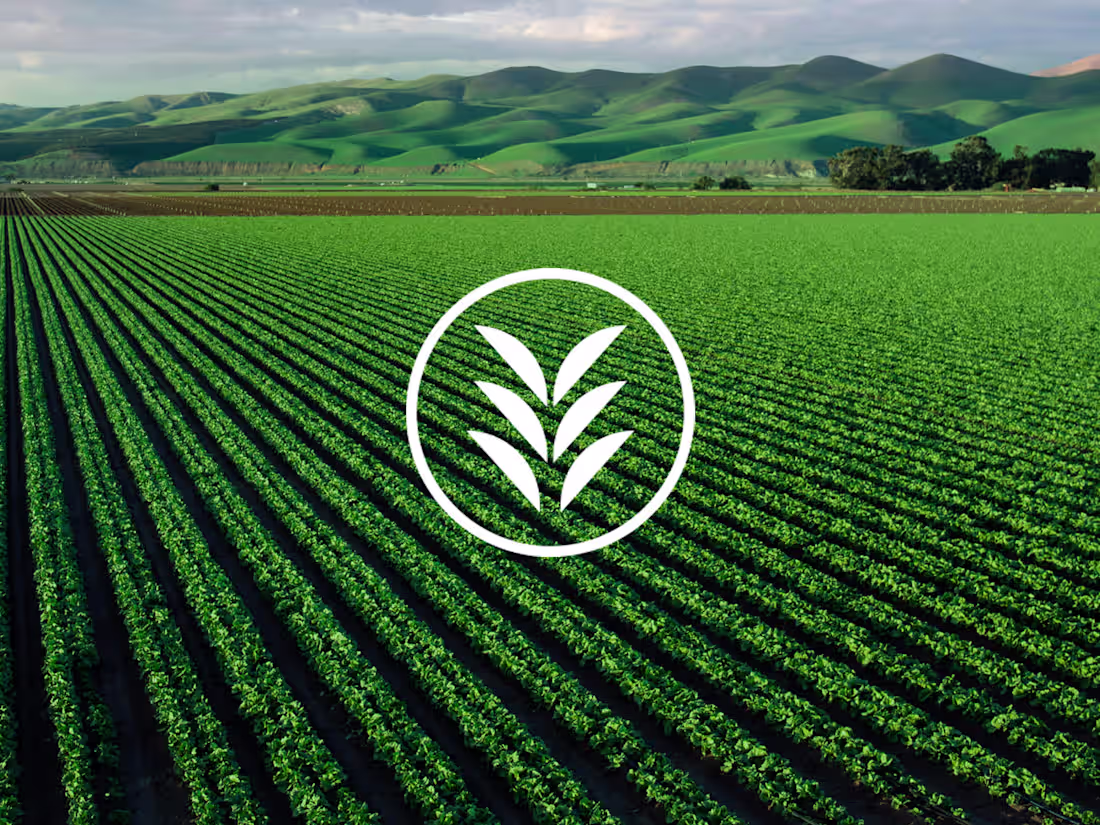 Cover image for Brand Identity Design for Parlor