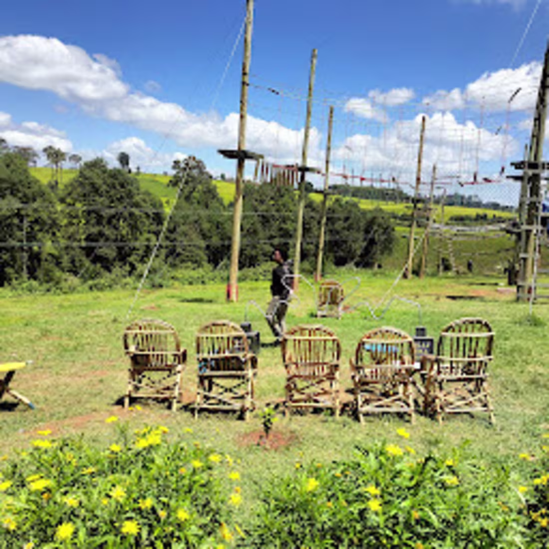 Cover image for Blogs/Published Articles.