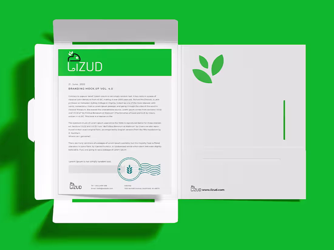 Cover image for Lizud Logo & Brand Identity Design