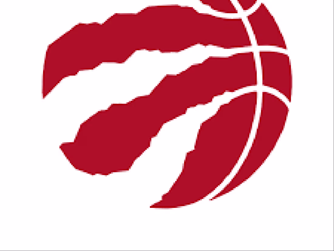 Cover image for Toronto Raptors Projects (2023)