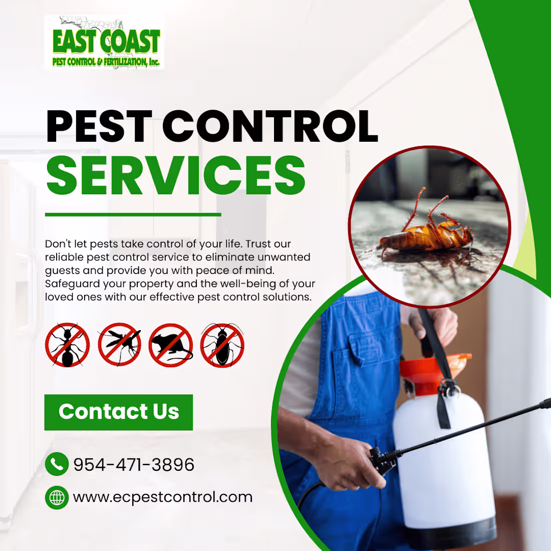 Cover image for Graphic Designing