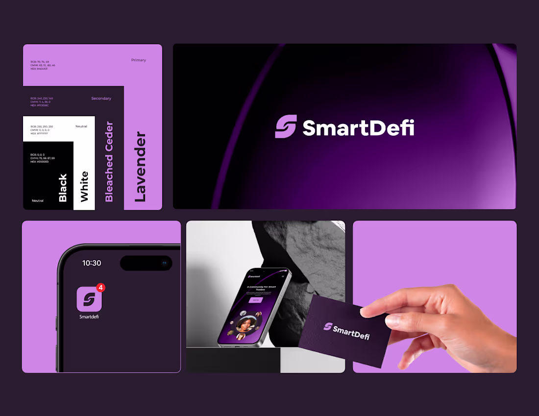 Cover image for SmartDefi Brand Identity