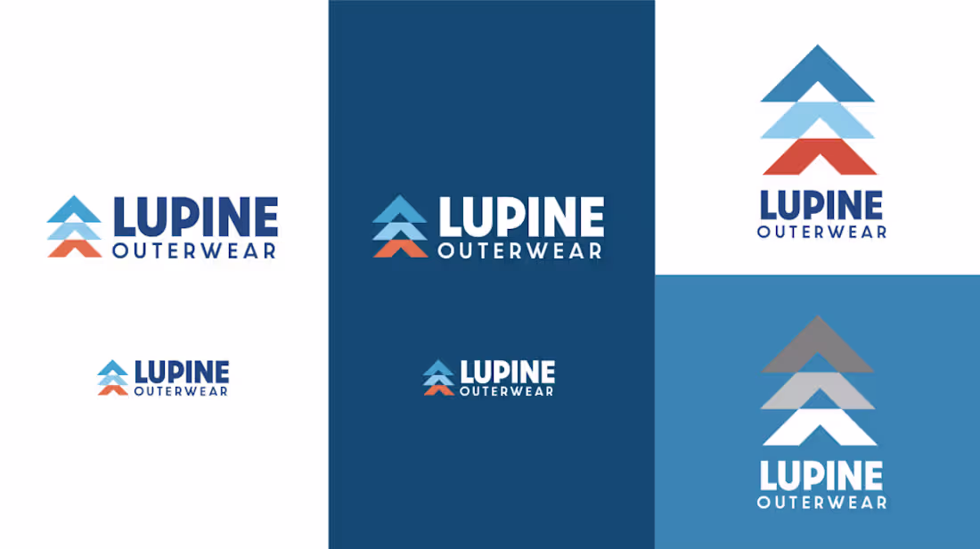 Cover image for Audience and Brand Identity Development for Lupine Outerwear