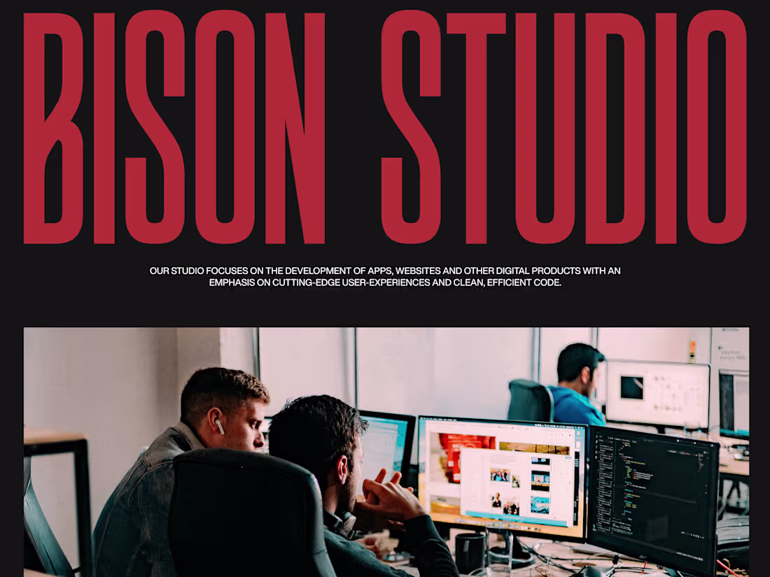 Cover image for Bison Studio Website