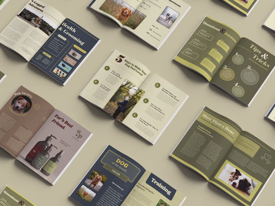 Cover image for Dog Network