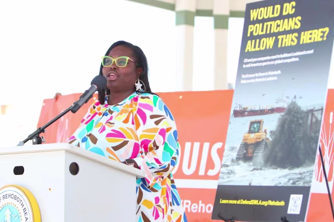 Cover image for Environmental Injustice: Roishetta Ozane’s Fight in SW Louisiana