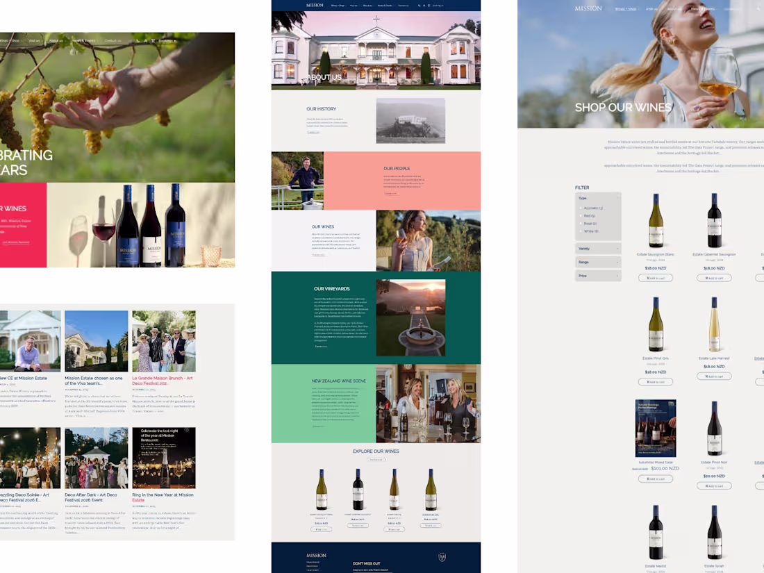Cover image for : Developed the website by