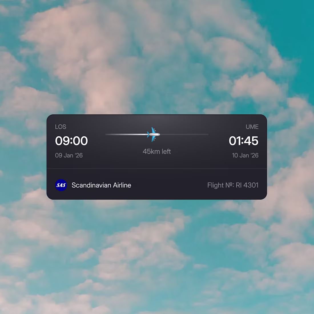 Cover image for Flight information in a signle glace, but 2 different styles