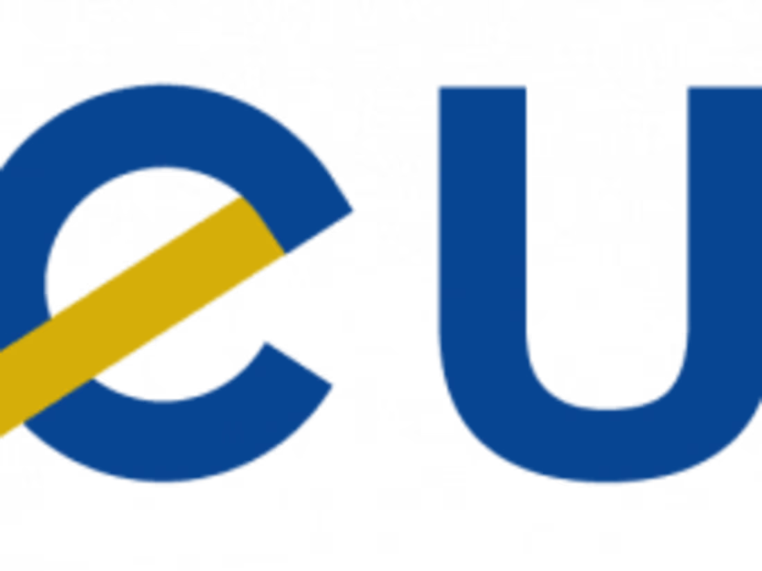 Cover image for Visa Information System (VIS)