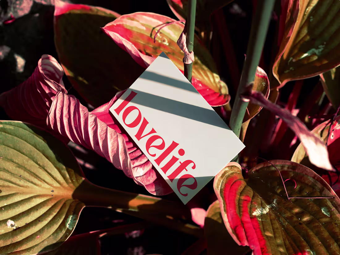 Cover image for Lovelife