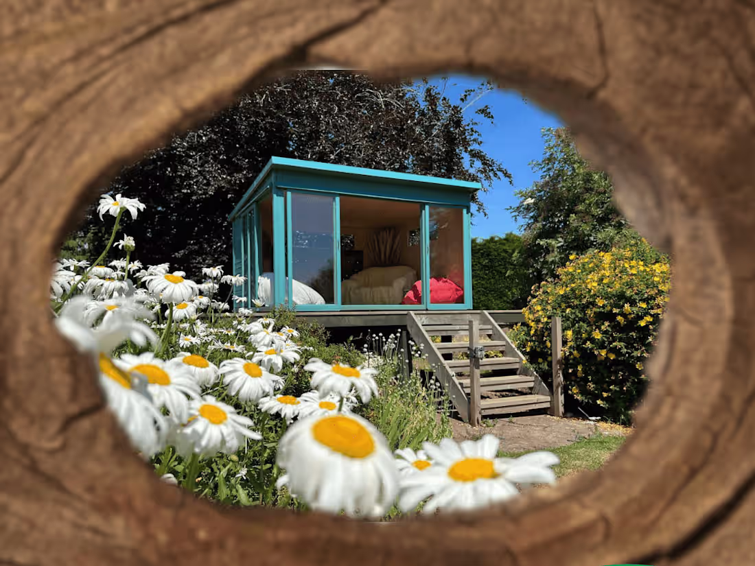 Cover image for Neighbourhood Secrets