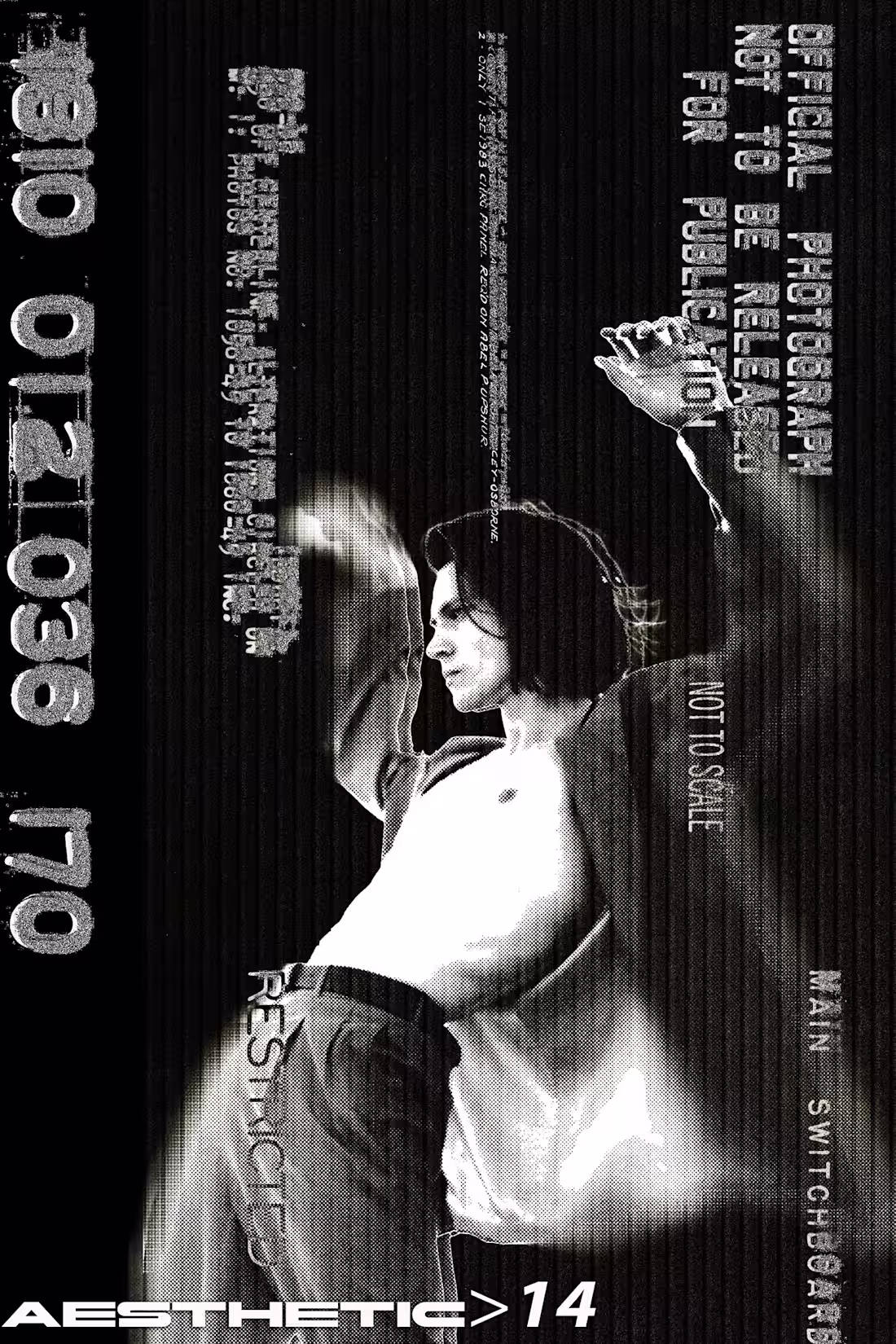 Cover image for Aesthetic