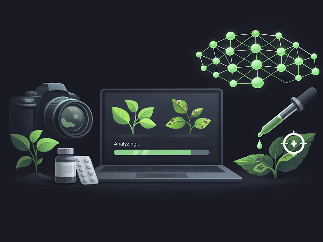 Cover image for Vision-Model Benchmarking for Crop Disease Classification