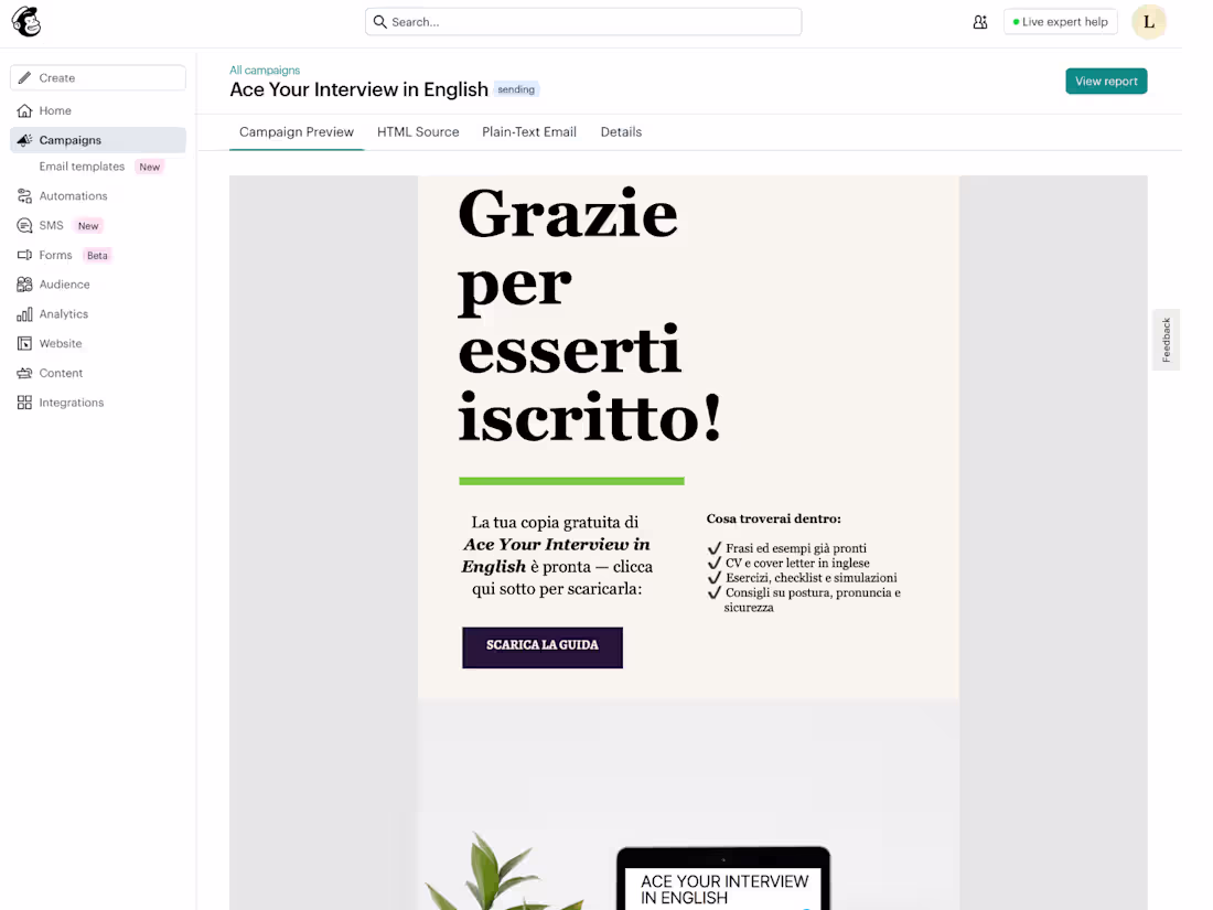 Cover image for Email + Automation Systems