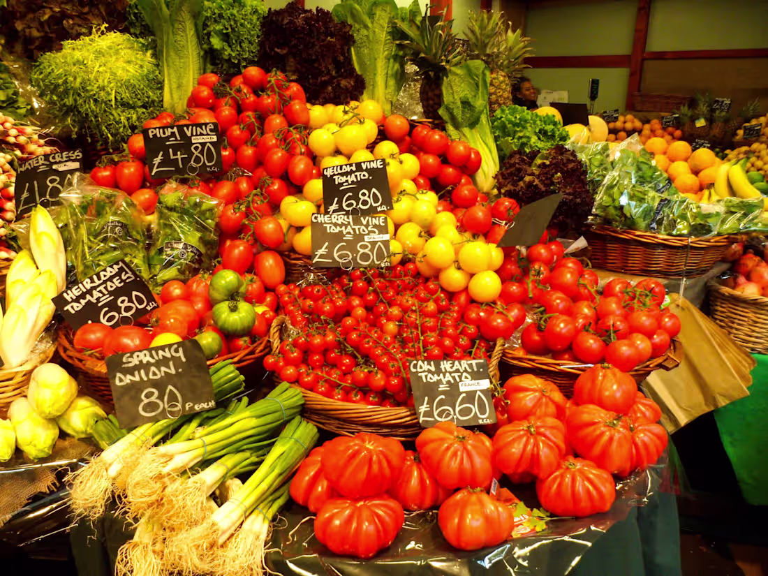 Cover image for Product description in the travel niche