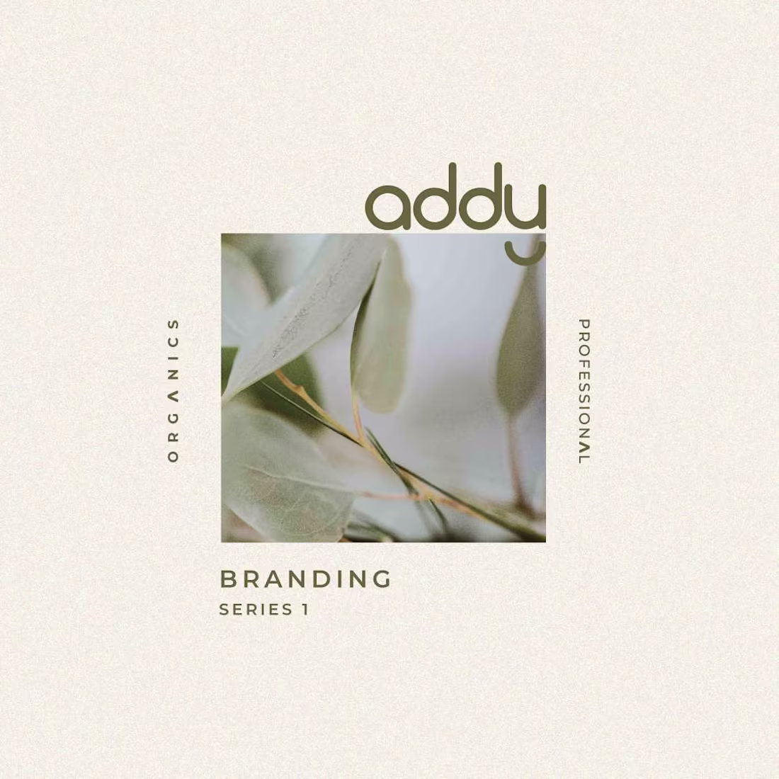 Cover image for DB Designs X Addy Organics