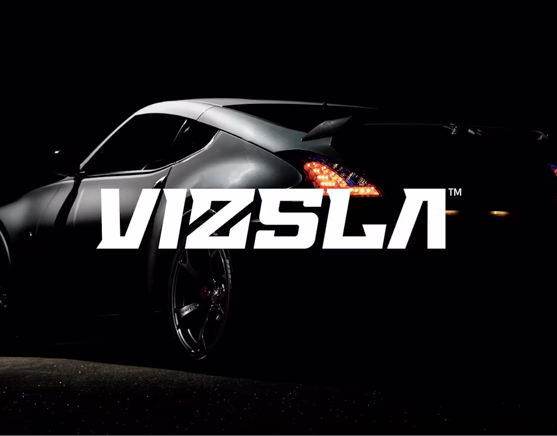 Cover image for VIZSLA | Brand Identity