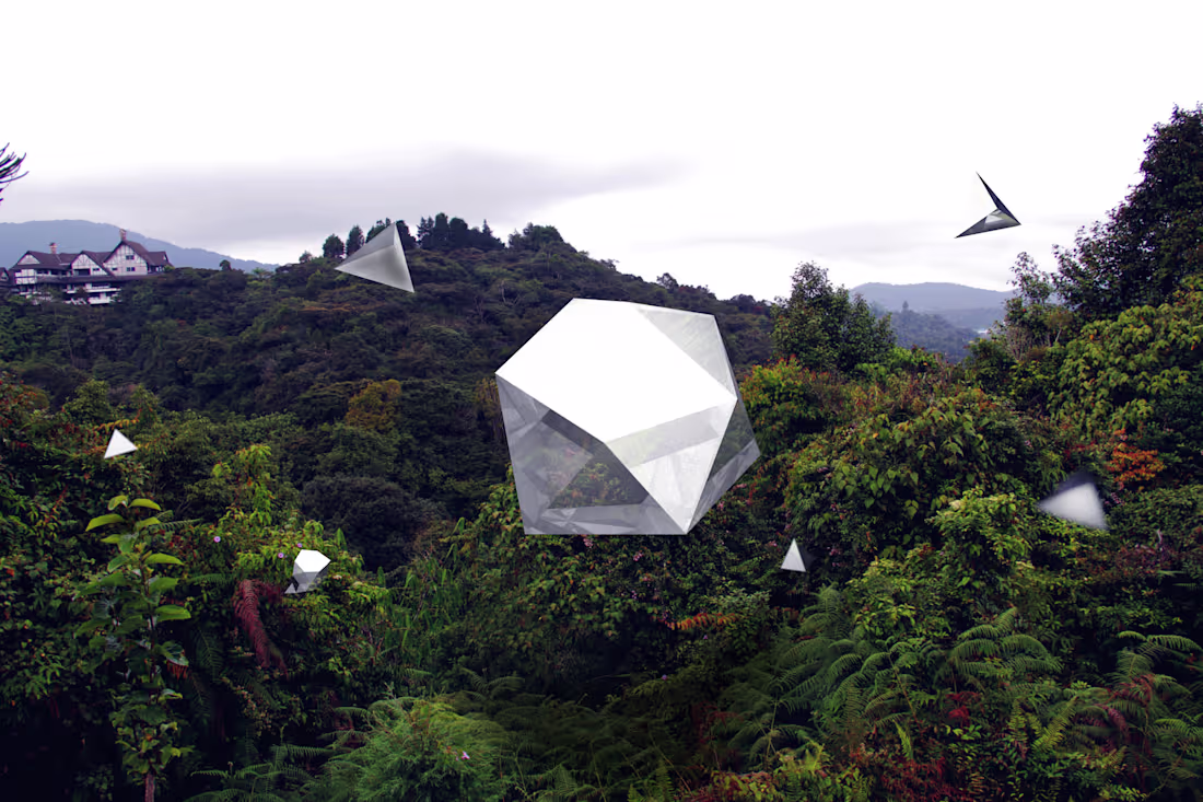 Cover image for ABSTRACT VS. ORGANIC