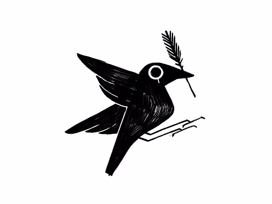 Cover image for Black Bird branding - Logo