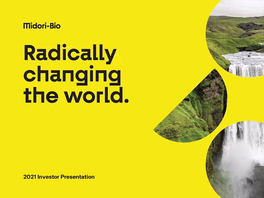 Cover image for Midori | Investor Presentation