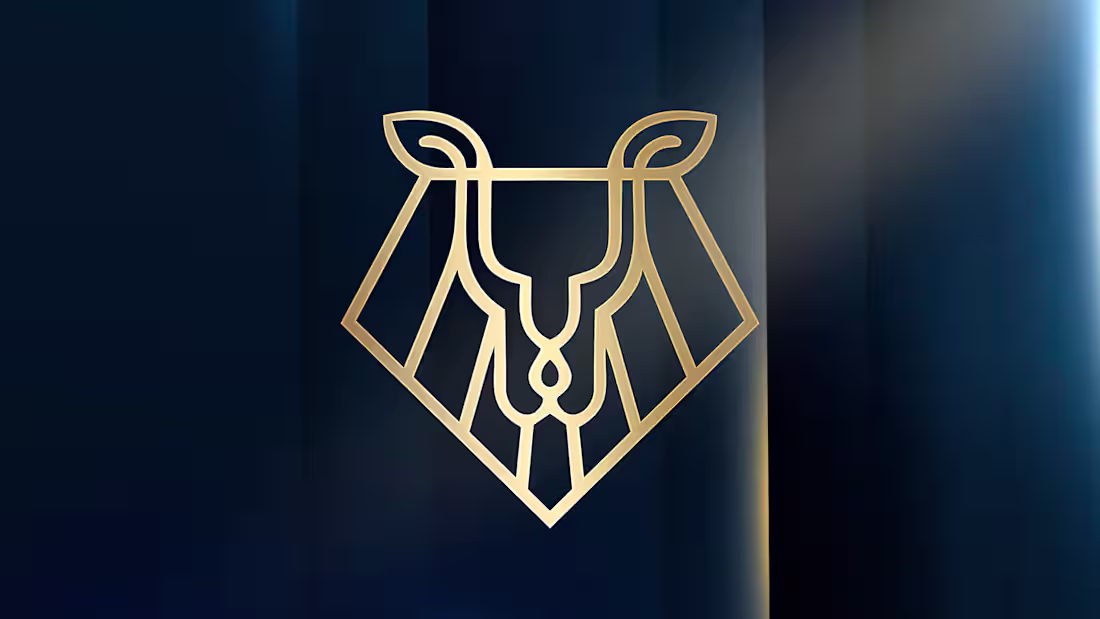 Cover image for PROJETO WS