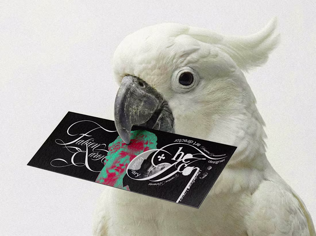 Cover image for Fabien Baron / Editorial Booklet Design