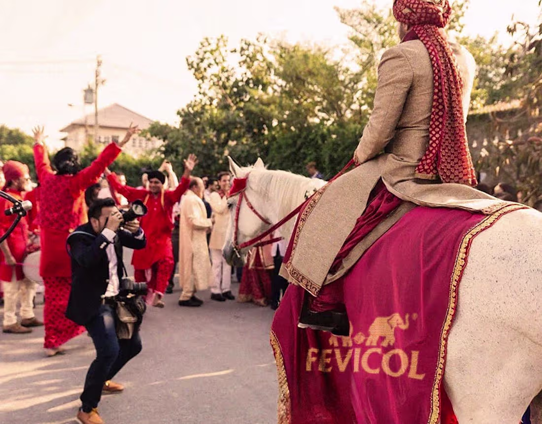 Cover image for Fevicol | Social Media Creatives