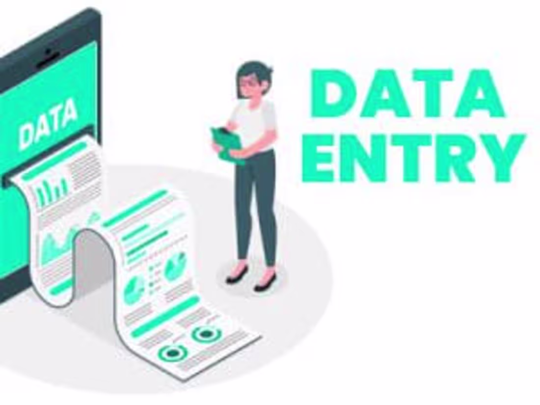 Cover image for Data Entry 