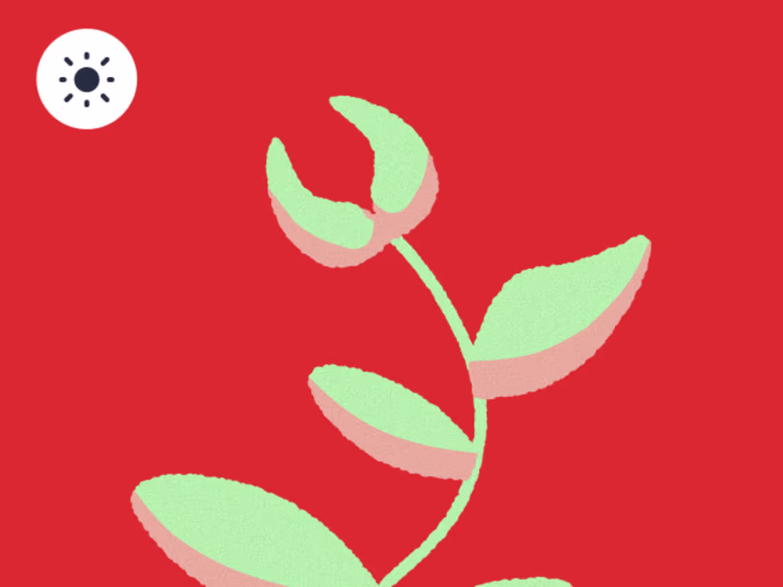 Cover image for Solitary little plant with day/night cycle