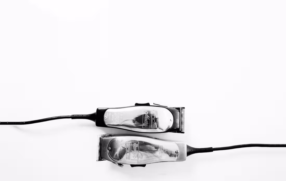 Cover image for Holy Moses