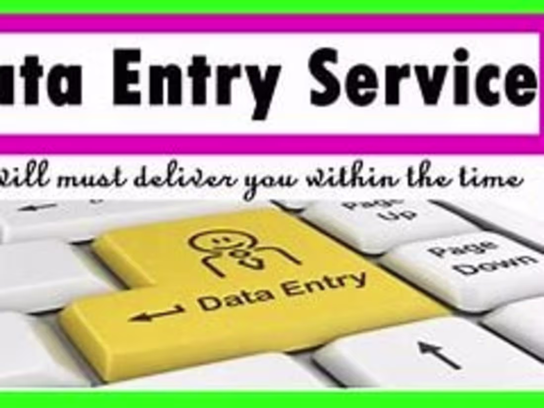 Cover image for Data Entry