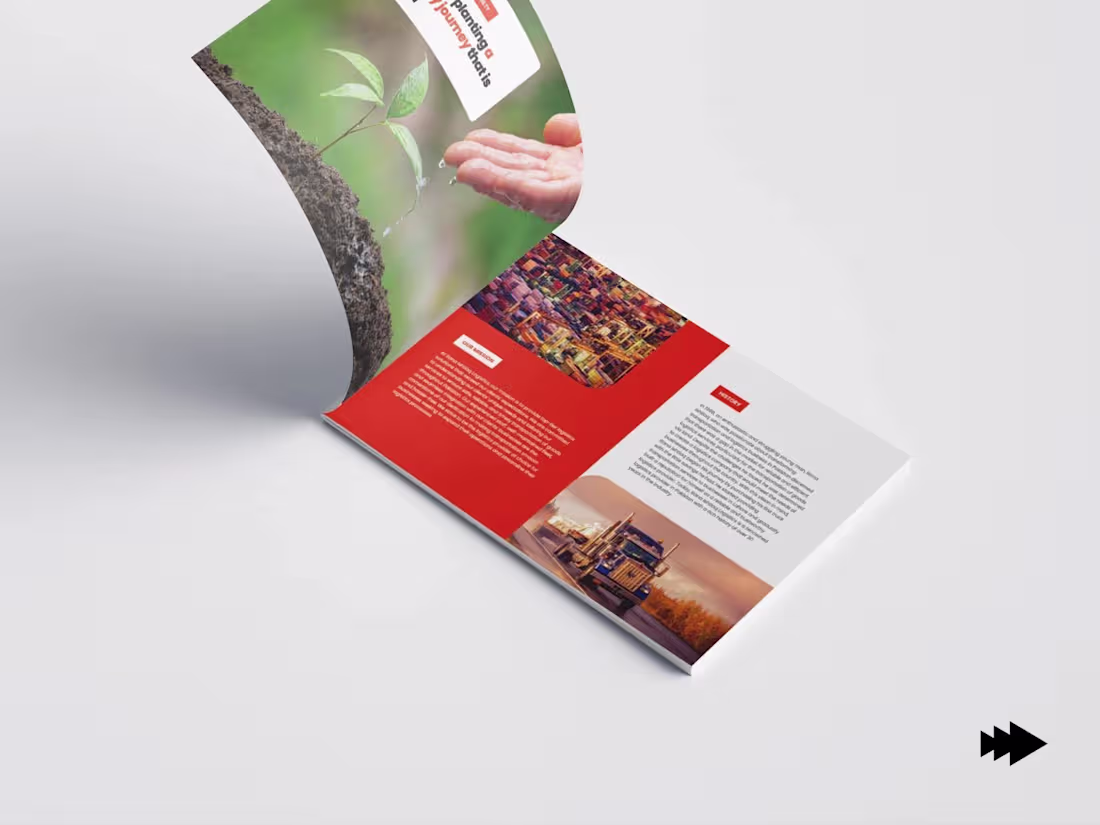 Cover image for I am profational in these skills 