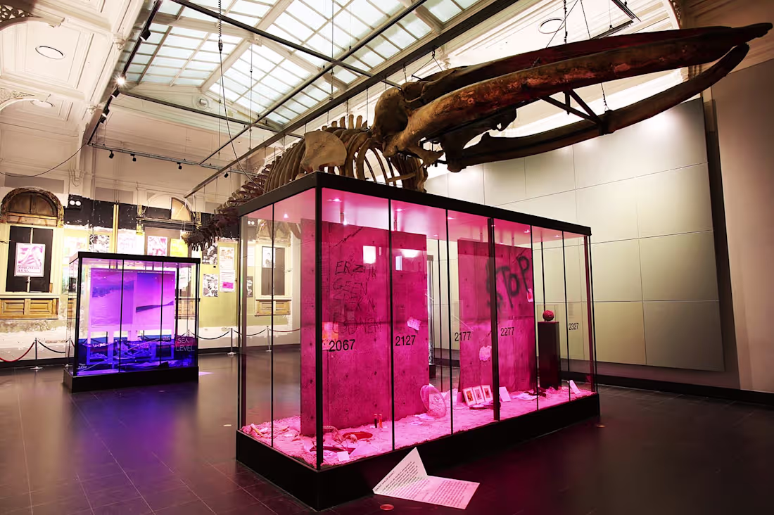 Cover image for Pavillion Design for an Exhibition at Amsterdam Zoo (ARTIS)