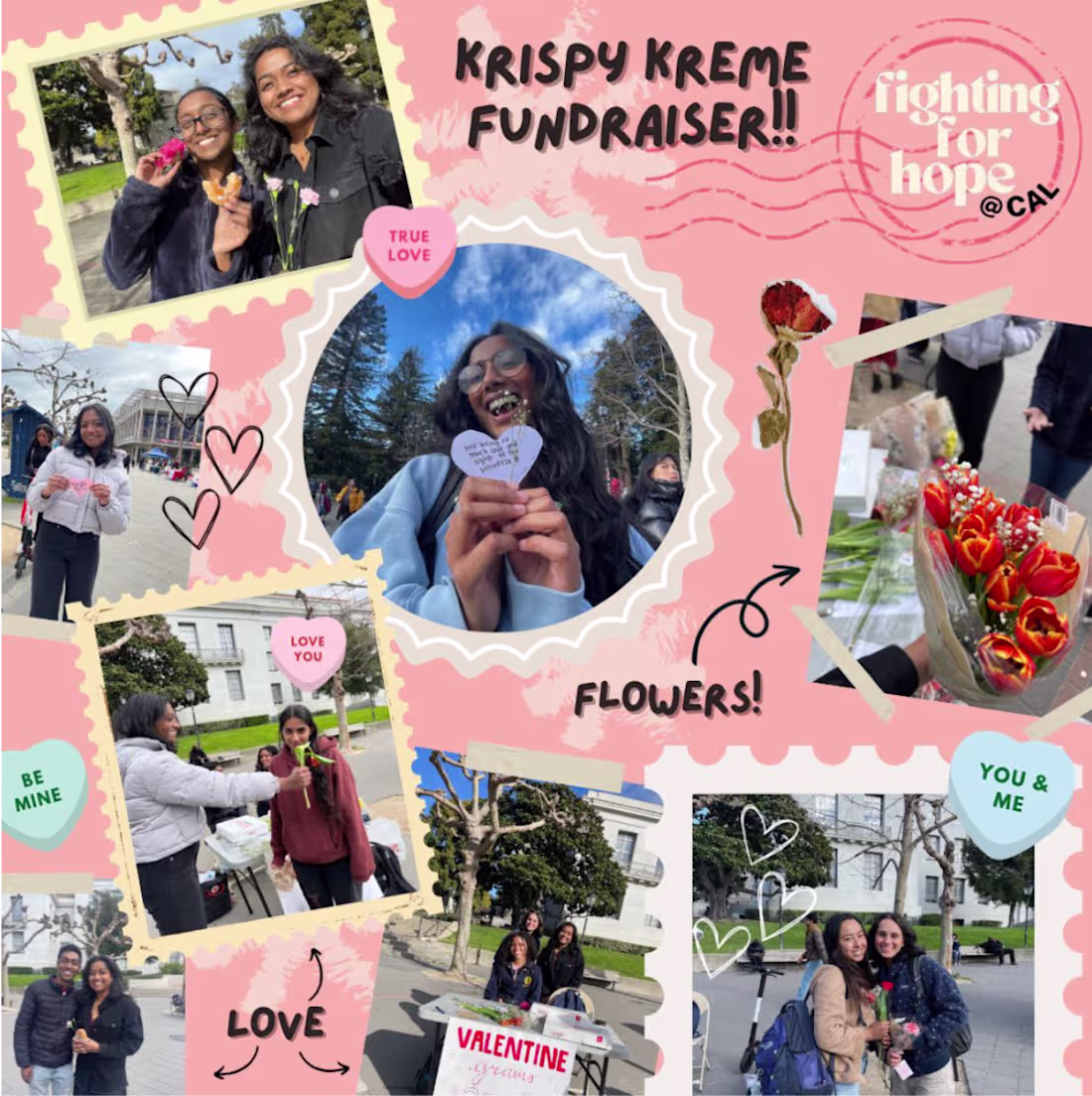 Cover image for Fighting For Hope